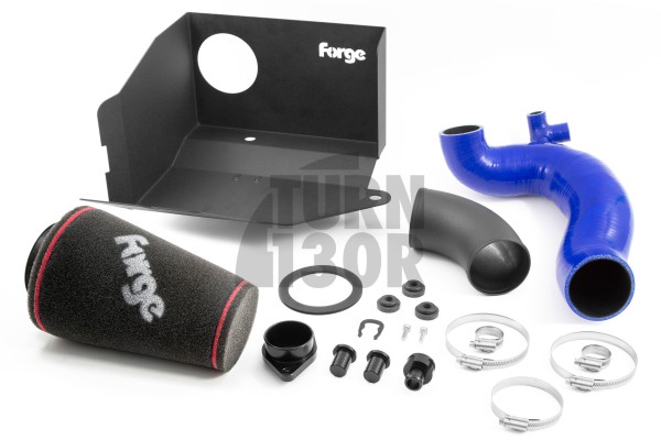 1.5 TSI EVO Intake / VW / Audi / Seat / Skoda / Cupra - Intake Forge Motorsport