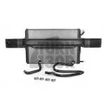 Forge Motorsport Radiatore di carica Audi RS7 / RS6 C7 Forge Motorsport Radiatore di carica Audi RS7 / RS6 C7
