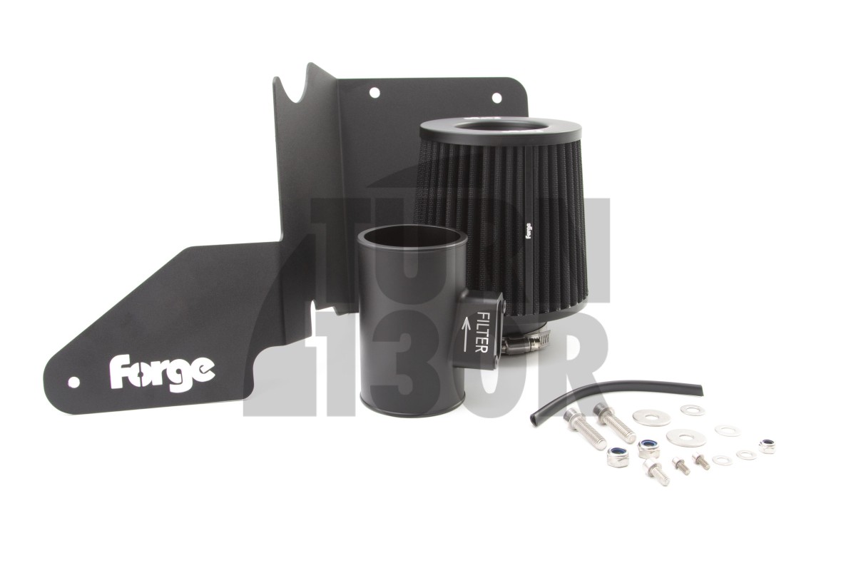 Forge Intake Ford Fiesta ST 180