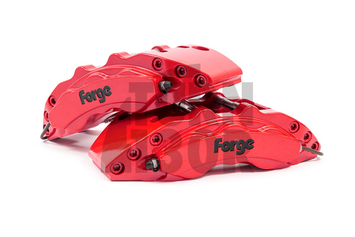 Audi A3 8P / S3 8P / TT 8J Kit freno anteriore Forge 356 mm