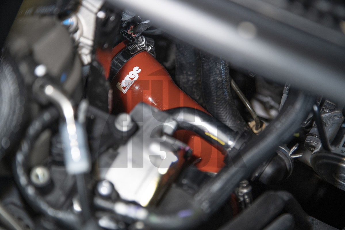 Forge Motorsport Eliminazione silenziatore turbo Hyundai I20 N