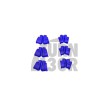 Copri pacco bobine R36 blu per Golf 4 R32, Golf 5 R32, A3 8P, TT 8J 3.2 FSI