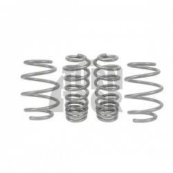 -Molle ribassate da 25 mm per Mustang S550 5.0 Faceliift con Magnetic Ride Whiteline