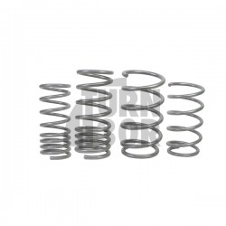 -Molle ribassate di 25 mm per Toyota Yaris GR Whiteline