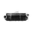 Intercooler Alpha Competition BMW 135i / 1M E82 e 335i E9x N54