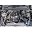 Kit di aspirazione RamAir per 1.5 TSI EVO Intake / VW / Audi / Seat / Skoda / Cupra