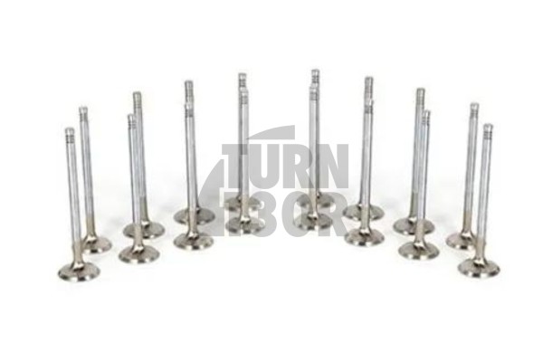 Honda Integra Type R B18 Ferrea Special Alloy Engine Valves x16