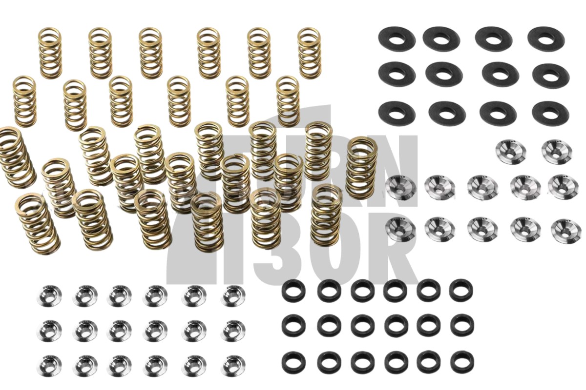 Audi S4 / RS4 B5 Kit di molle e ritegni per valvole Ferrea