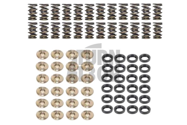 BMW M3 E36 3.0 / 3.2 Kit molle valvola e ritegni Ferrea