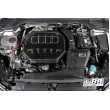 Presa daria fredda Do88 Evo per Audi A3 / S3 8V / TT 8S / Octavia 5E VRS