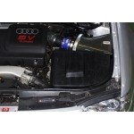 Sistema di aspirazione in fibra di carbonio Gruppe M per Audi S3 8L Sistema di aspirazione in fibra di carbonio Gruppe M per Audi S3 8L