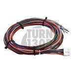 Kit di iniezione acqua/metanolo per motori a induzione forzata - AEM Versione 3