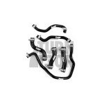 Kit tubo refrigerante in silicone Forge Honda Civic Type R FK8