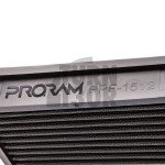 Filtro aria a pannello Ramair Pro-Ram per Golf 4 GTI, Leon 1M, S3 8L e TT 8N 1.8T 20V Filtro aria a pannello Ramair Pro-Ram per Golf 4 GTI, Leon 1M, S3 8L e TT 8N 1.8T 20V