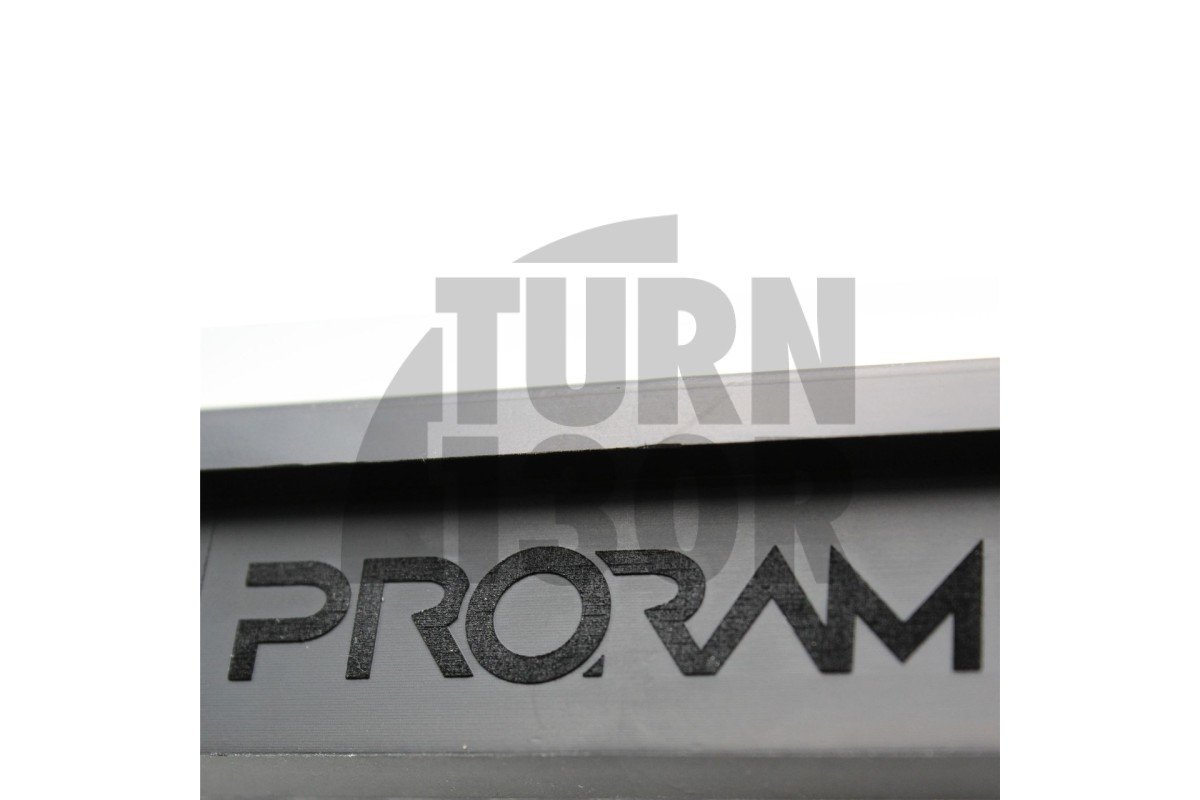 Filtro aria a pannello Ramair Program per LeBMW 140i, 240i, 340i e 440i