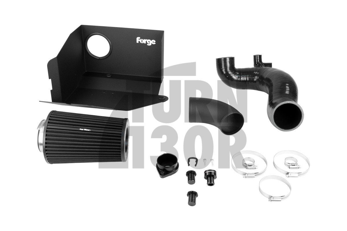 1.5 TSI EVO Intake / VW / Audi / Seat / Skoda / Cupra - Intake Forge Motorsport