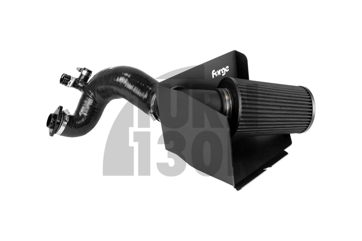 1.5 TSI EVO Intake / VW / Audi / Seat / Skoda / Cupra - Intake Forge Motorsport