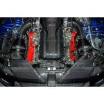 Eventuri Copri pannello in fibra di carbonio per Audi RS4 B8