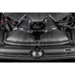 Sistema di aspirazione Eventuri in fibra di carbonio per Audi RS6 C8 / RS7 C8