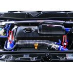 Tubi di alimentazione Forge Audi TT 8N / S3 8L / Leon 1M Cupra