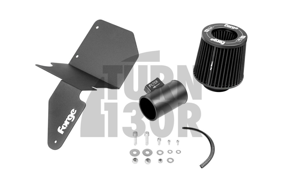Forge Intake Ford Fiesta ST 180