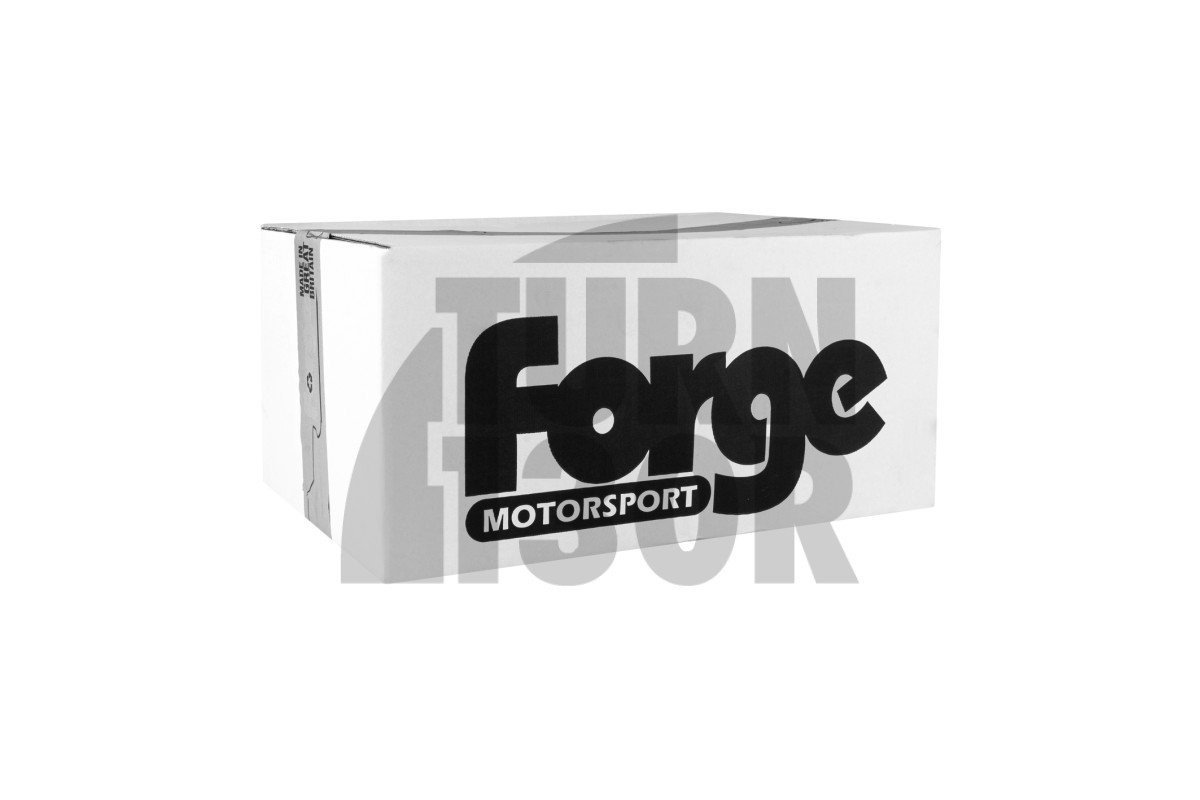 Audi S3 8V e Audi TT Mk3 Forge: contenitore di raccolta dell'olio