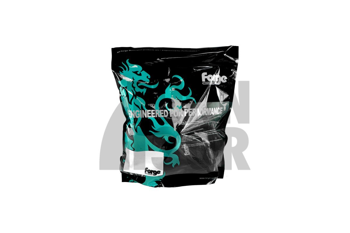 BMW 135i / 235i F2x / M2 N55 Tubo uscita turbo Forge