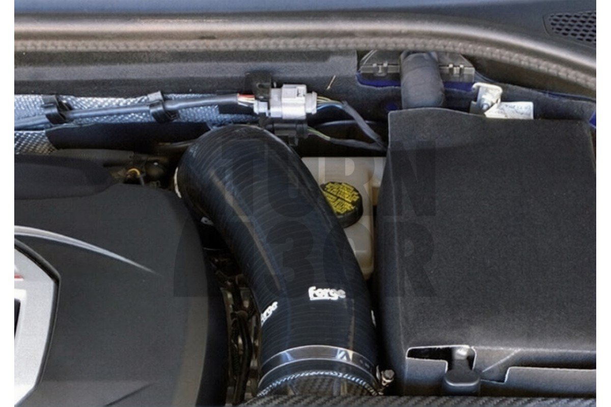 Tubo di ingresso in silicone Forge Golf 7 GTI / Golf 7 R / Leon 3 Cupra