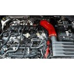 Forge Motorsport Tubo di aspirazione in silicone Golf 8 GTI