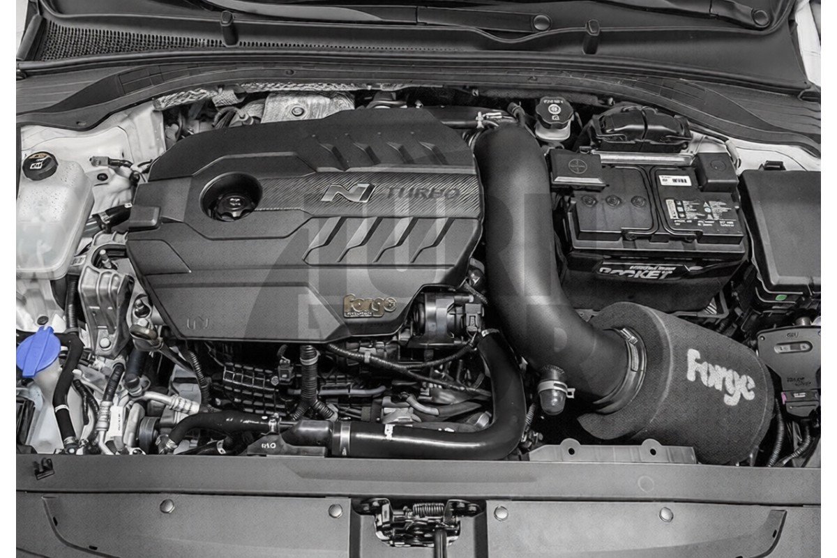 Forge Motorsport Aspirazione Hyundai I30 N