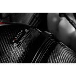 Sistema di aspirazione in fibra di carbonio Eventuri per BMW 135i / 235i F40