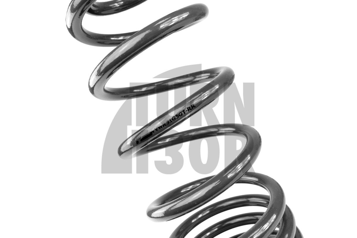 Molle Racingline Sport Golf 5 GTI / Golf 6 GTI / Leon 2 Cupra 