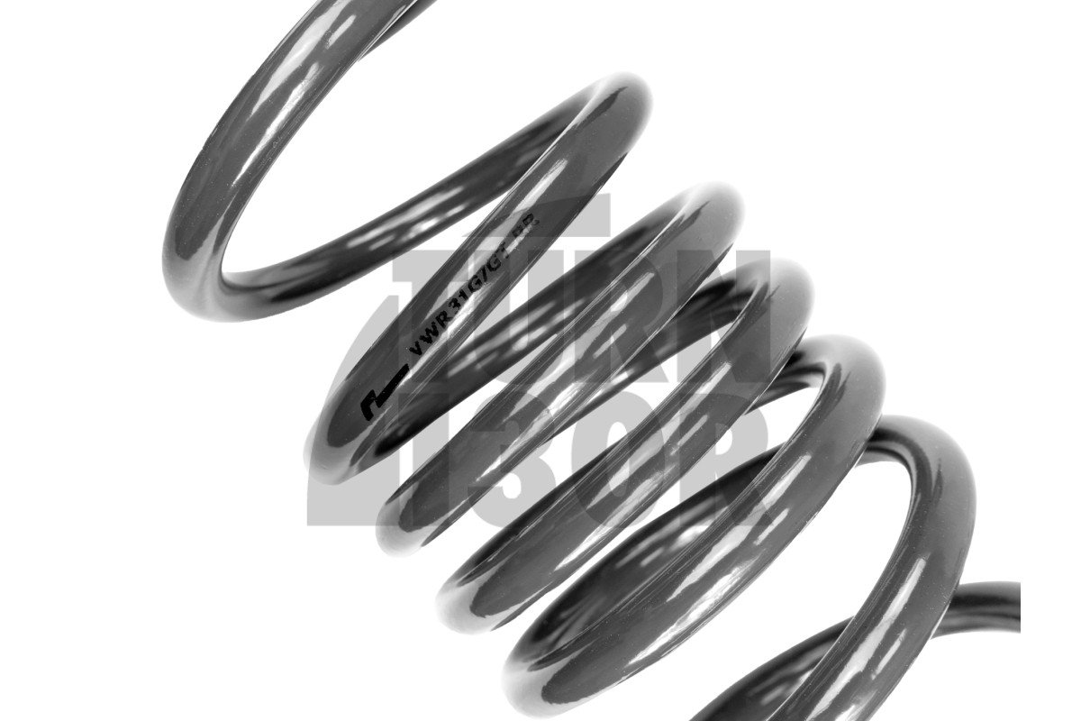 Molle Racingline Sport Golf 7 GTI / Leon 3 Cupra / Octavia 5E 