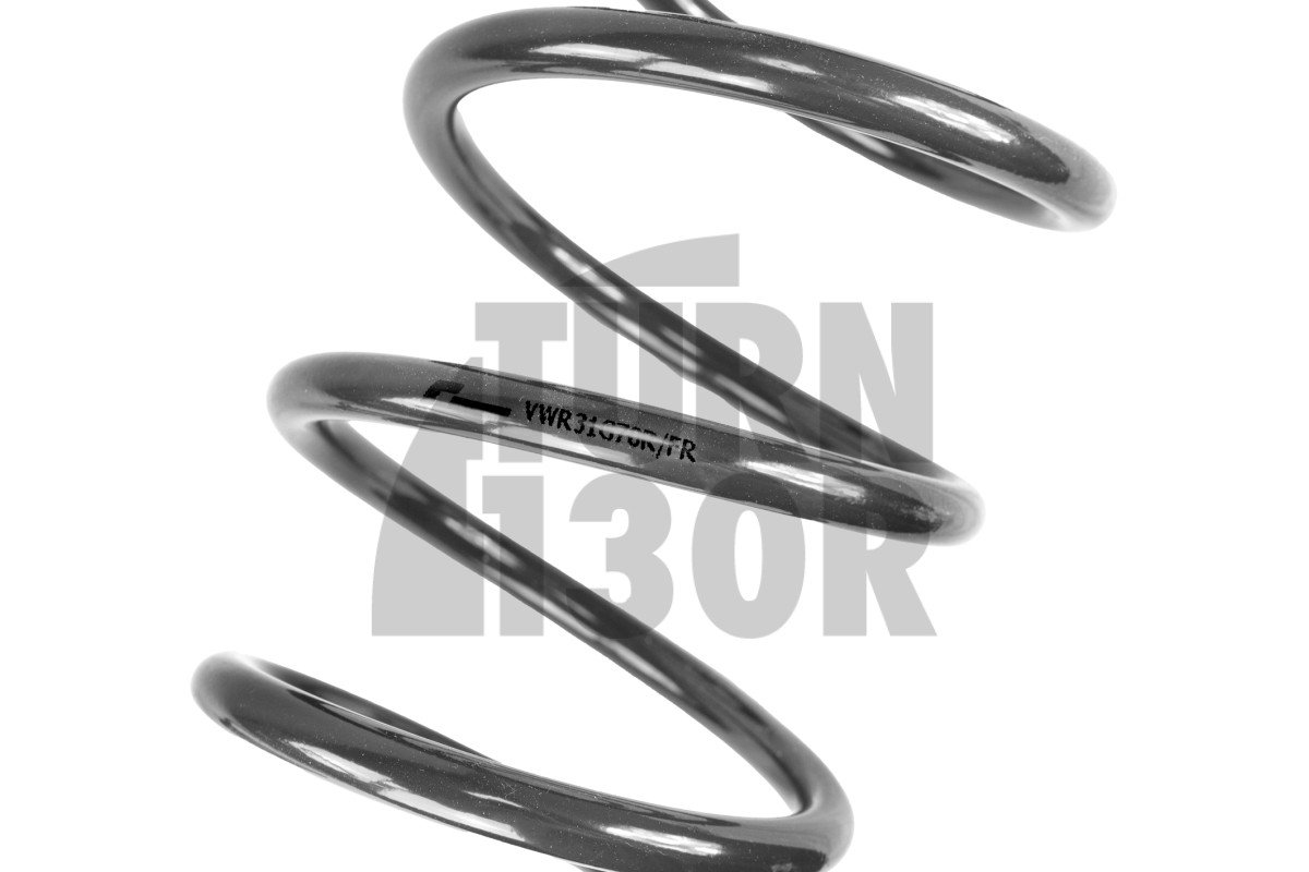 Molle Racingline Sport Golf 7 R 