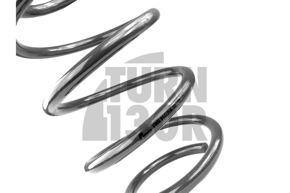 Molle Racingline Sport Golf 7 R SW / Leon 3 Cupra ST / Octavia VRS SW 