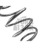 Molle Racingline Sport Golf 7 R SW / Leon 3 Cupra ST / Octavia VRS SW 