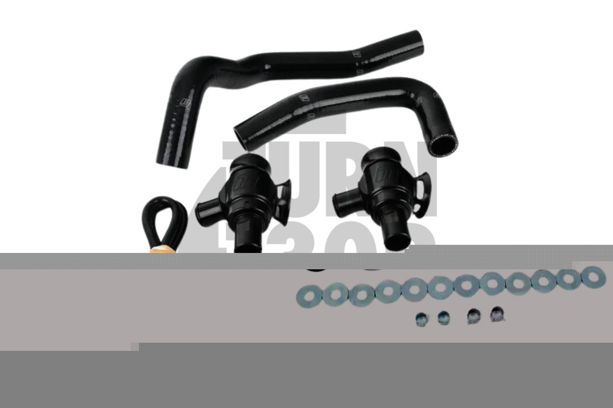 Valvole di scarico a doppia porta Turbosmart BMW 135i / 1M E82 e 335i E9x N54