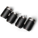 Scarico Akrapovic Slip-On in titanio per BMW M2 Comp F87