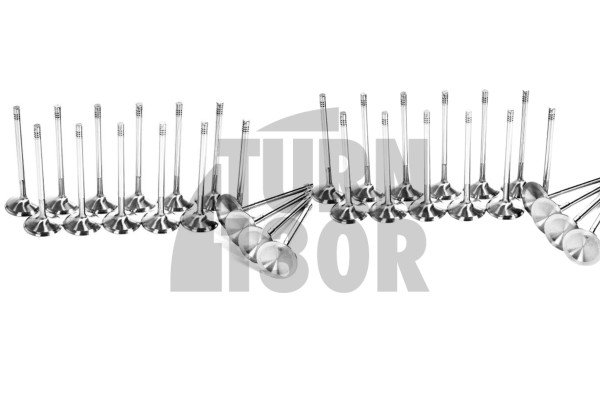 Ferrea Competition Plus Engine Valves x16 for Golf 7 GTI - Golf 7 R - S3 8V - Leon 3 Cupra 2.0 TSI EA888.3 Ferrea Competition Plus Engine Valves x16 for Golf 7 GTI - Golf 7 R - S3 8V - Leon 3 Cupra 2.0 TSI EA888.3
