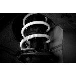 Golf 7 R Molle Leyo Sport