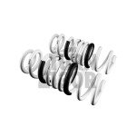 Golf 7 R Molle Leyo Sport