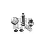 Pomello del cambio DSG in billet Leyo Pomello del cambio DSG in billet Leyo