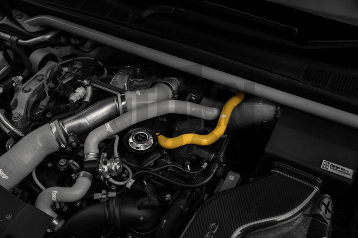 Forge Motorsport Oil Breather Silicone Hose for Megane 4 RS 