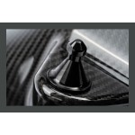 Kit di aspirazione in fibra di carbonio per BMW M3 F80 / M4 F8x S55 AMS Performance