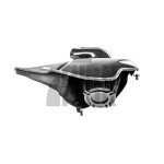 Armaspeed Presa daria in fibra di carbonio Audi RS6 / RS7 C7