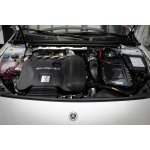 Armaspeed Presa d'aria in fibra di carbonio Mercedes A45 AMG W177 / CLA 45 AMG C118