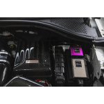 Coperchio batteria in fibra di carbonio Armaspeed S3 8V / Golf 7 GTI / Golf 7 R / Leon 3 Cupra / Octavia 5E VRS Coperchio batteria in fibra di carbonio Armaspeed S3 8V / Golf 7 GTI / Golf 7 R / Leon 3 Cupra / Octavia 5E VRS