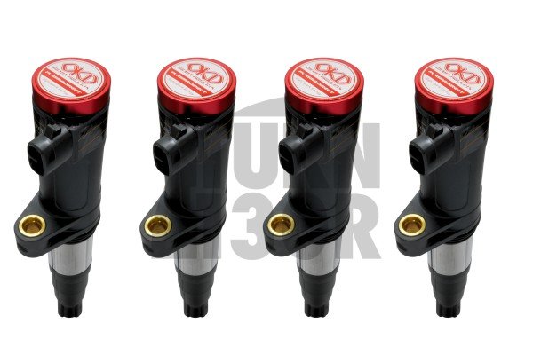 Megane 3 RS Progetti Okada Bobine di accensione al plasma Megane 3 RS Progetti Okada Bobine di accensione al plasma