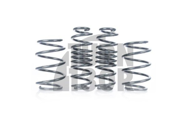 Molle Racingline Sport Golf 7 R SW / Leon 3 Cupra ST / Octavia VRS SW Molle Racingline Sport Golf 7 R SW / Leon 3 Cupra ST / Octavia VRS SW