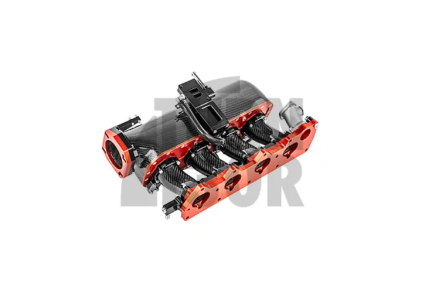 Collettore di aspirazione in fibra di carbonio PracWorks Honda S2000
